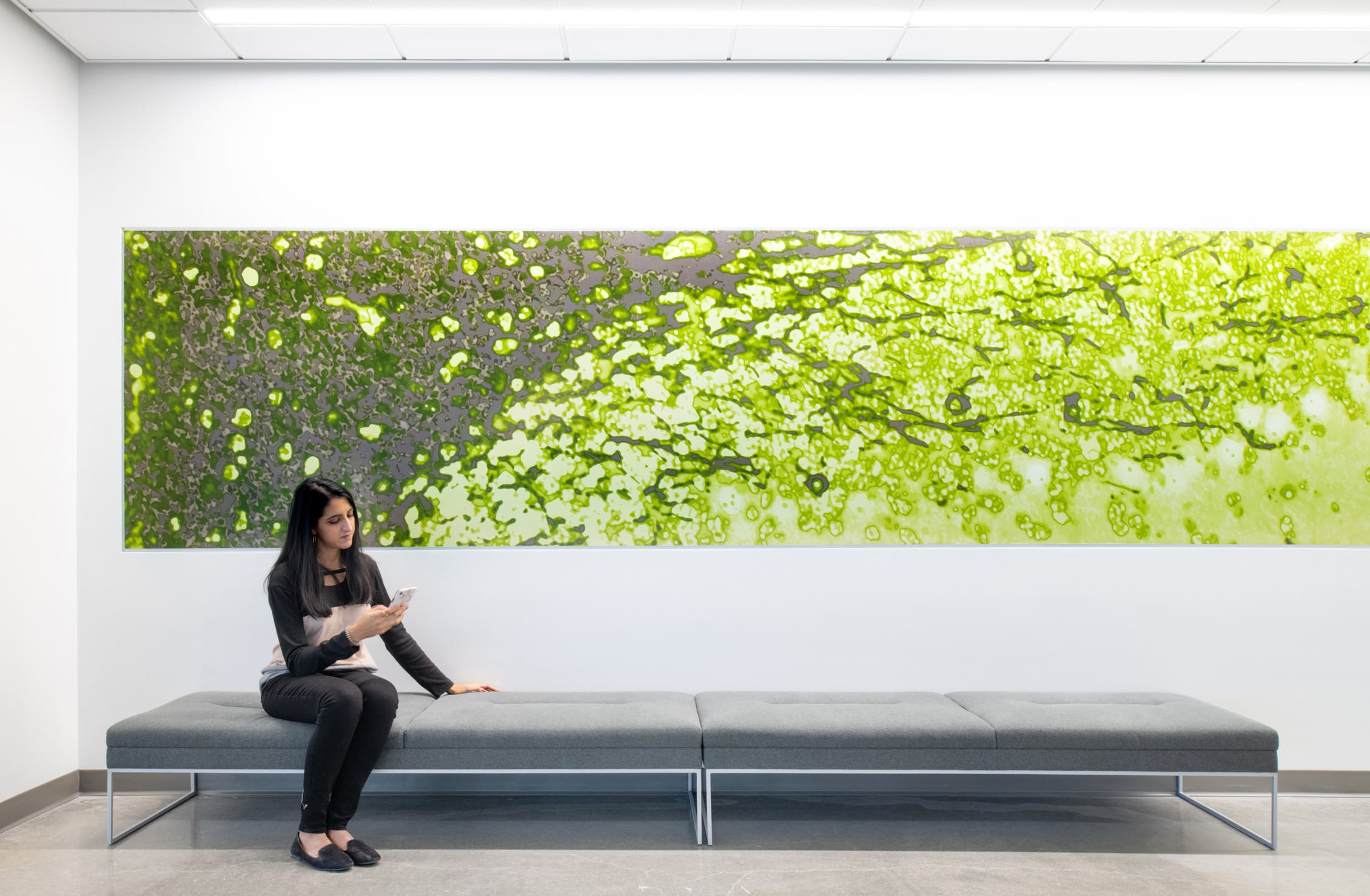 A quiet seating area in the Children's Mercy Research Institute features a woman sitting on a minimalist gray bench while checking her phone. Behind her spans a striking horizontal art installation that resembles cellular structures or microscopic imagery, transitioning from darker gray-green on the left to vibrant lime green on the right. The piece appears to be illuminated from behind, creating a glowing effect against the stark white walls. This thoughtfully designed space incorporates scientific imagery into the aesthetic, reflecting the institute's research focus while providing a contemplative area for visitors and staff.