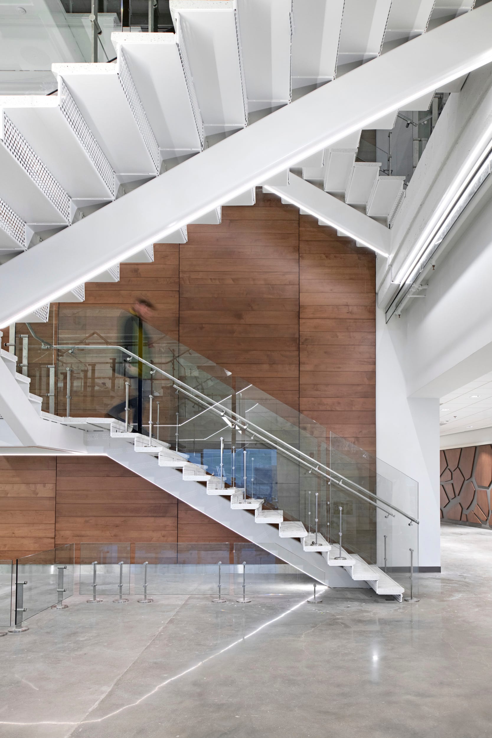 Architectural detail of the modern staircase at Children's Mercy Research Institute featuring crisp white perforated metal treads with glass and metal railings. The floating staircase design contrasts against warm wood wall paneling, creating a minimalist yet inviting aesthetic. A blurred figure descending the stairs suggests movement and activity within the space. The polished concrete floor below reflects subtle light lines, enhancing the contemporary, open feeling of this circulation hub that connects different levels of the research facility.