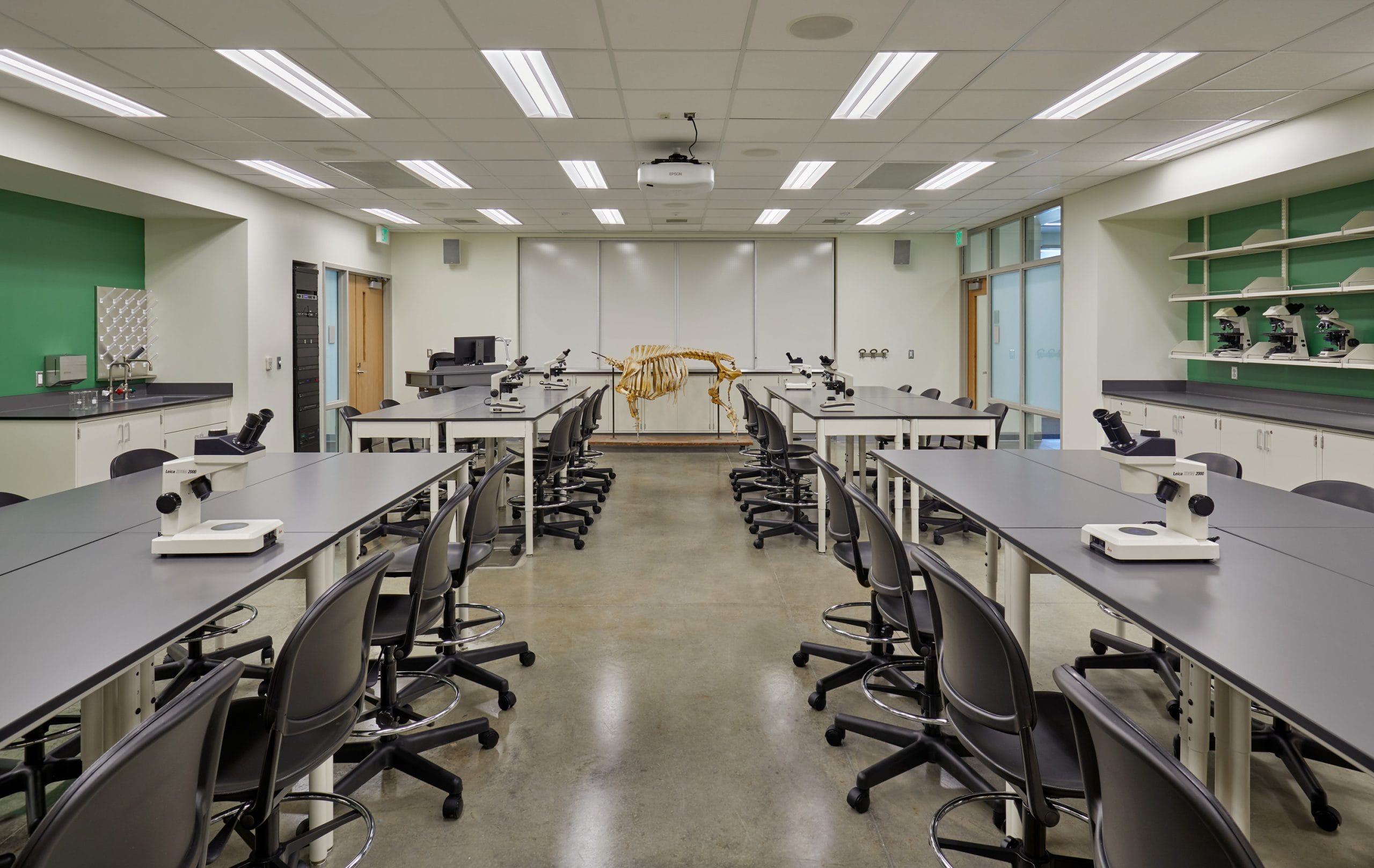 This modern laboratory classroom is located within the Hobart and Russell Creighton Hall of Animal Sciences and the Land O'Lakes Center for Experiential Learning Complex. The space is designed for hands-on learning in animal and life sciences, featuring rows of black-topped laboratory tables equipped with individual microscopes and ergonomic chairs. A mounted large animal skeleton stands as a central teaching aid at the front of the room, reinforcing the classroom’s focus on anatomy and veterinary science. Clean lines, bright LED lighting, and a polished concrete floor create a functional yet contemporary academic environment. Shelving with additional microscopes and laboratory equipment along the walls enhances the space’s utility for research and instruction.