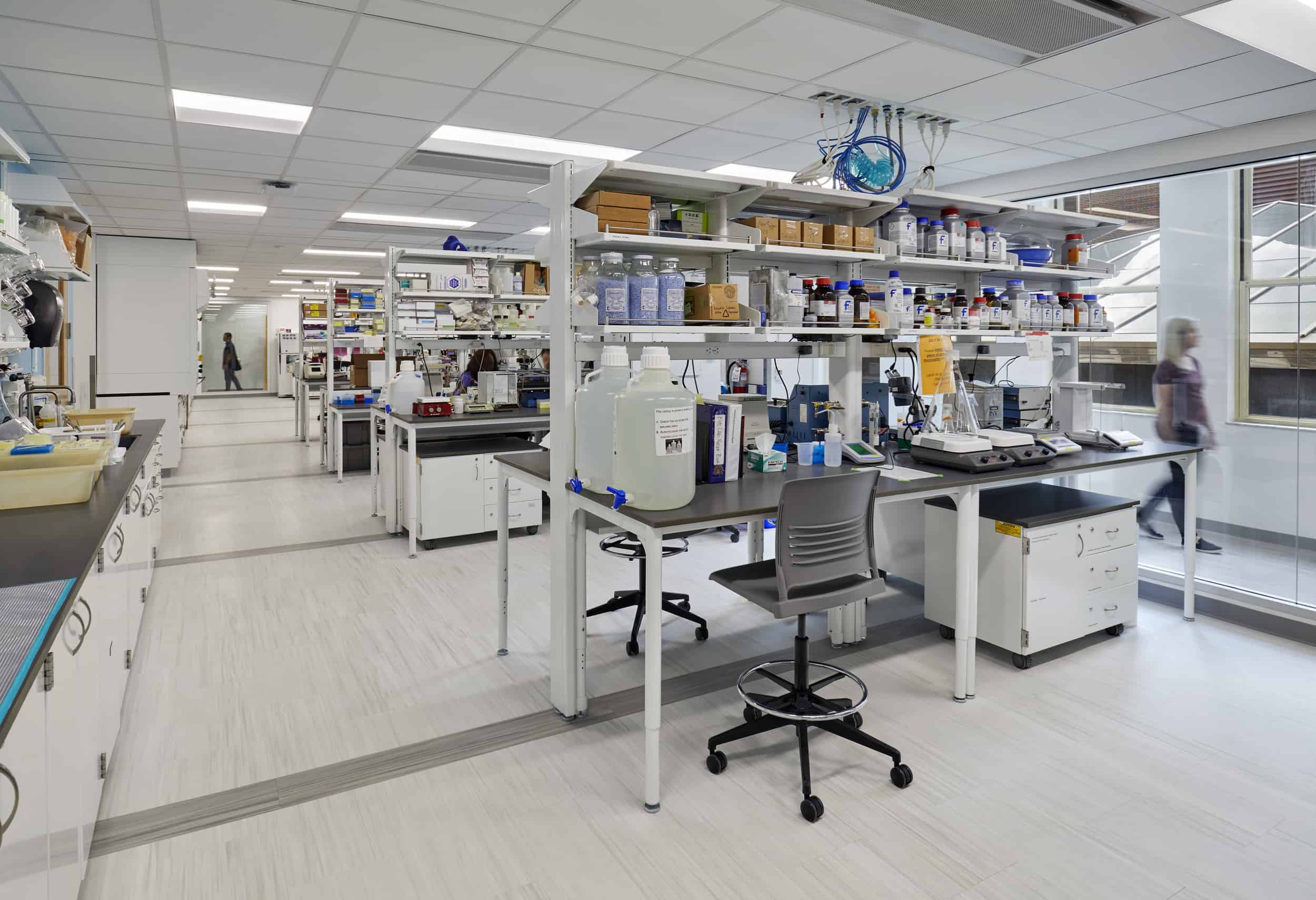 This image shows a well-equipped scientific laboratory space. The room features four laboratory workbenches with dark countertops and white cabinet storage underneath in the center of the room in rows. Each workbench has extensive shelving filled with numerous glass bottles, containers, and laboratory glassware of various sizes. The lab has light-colored flooring, a drop ceiling with recessed lighting, and glass walls on the right for complete visibility into the lab from the hallway. Various scientific instruments and equipment are on countertops on the left, as well as communal sinks. The overall appearance is of a modern, functional wet lab designed for chemical or biological research.