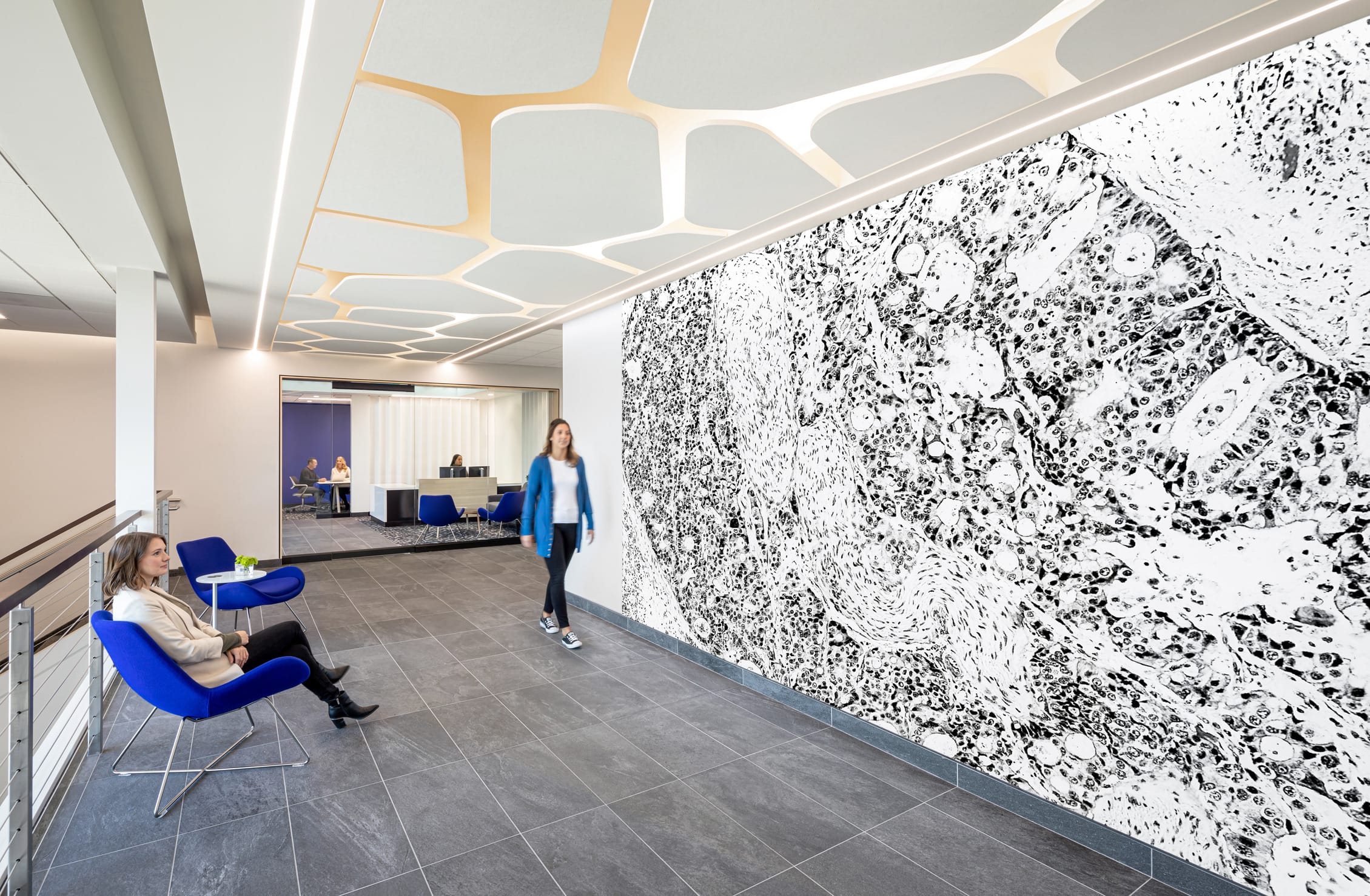 Corridor in the BSA-designed histology facility featuring a dramatic wall-sized microscopic tissue image in black and white, artfully connecting the space to its scientific purpose. A woman in a blue jacket walks through the hallway while another sits in a vibrant blue chair beside a small accent table. The space showcases the same cellular-inspired ceiling design with soft gold-toned dividers and integrated lighting. Through a doorway, glimpses of a meeting area reveal staff collaborating, all unified by the consistent blue and neutral color palette on sleek gray tile flooring.