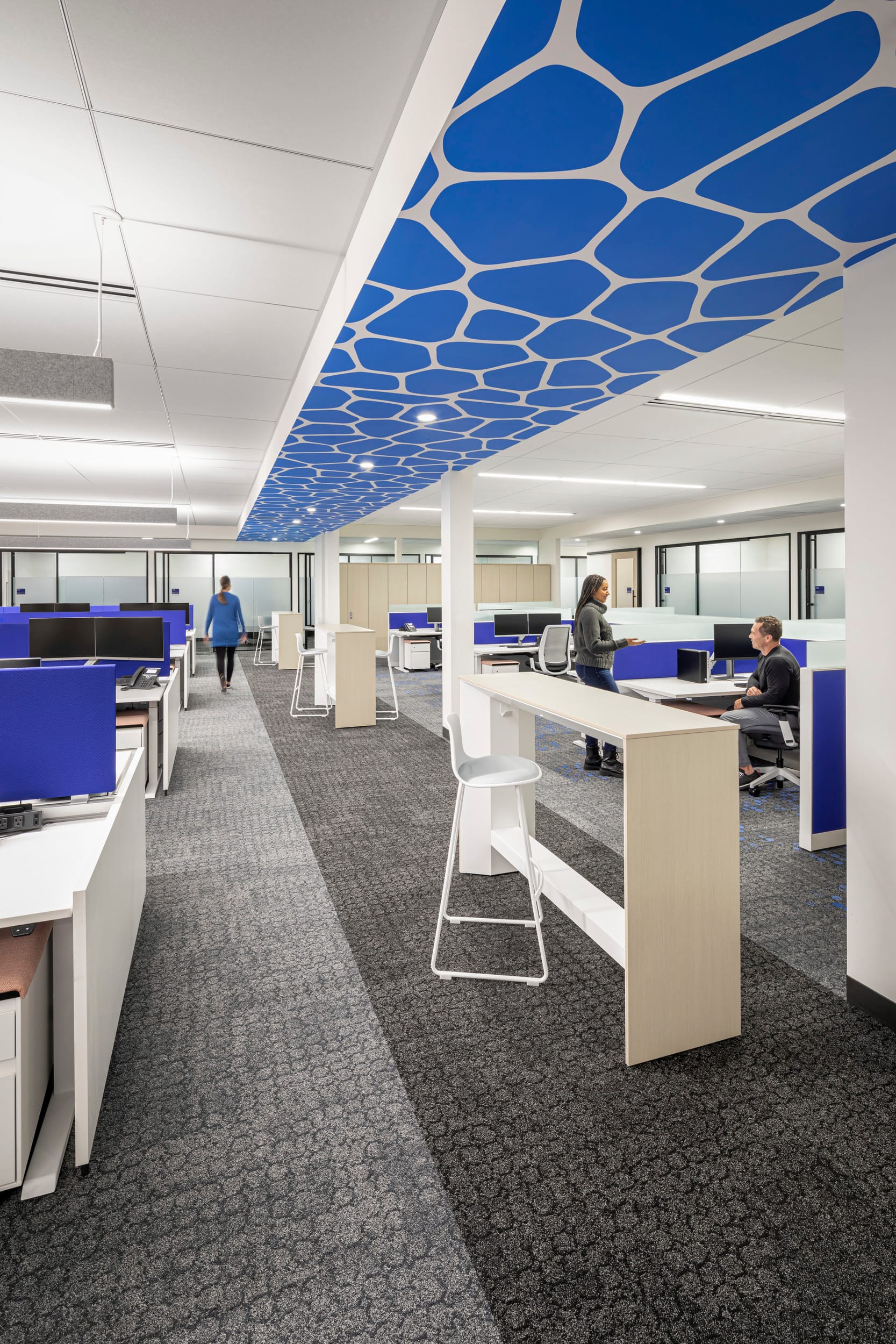 Open office area of the BSA-designed histology facility showcasing the cellular-patterned ceiling motif in vibrant blue, creating visual continuity with the laboratory spaces. Staff collaborate at modern white workstations with royal blue privacy panels, while height-adjustable desks and ergonomic seating promote workplace flexibility. The space features a mix of seated and standing work positions with strategically placed tall collaboration surfaces. Gray patterned carpeting provides acoustic benefits in this administrative environment, which maintains the facility's consistent color scheme and design language, with glass-walled meeting rooms visible in the background and pendant lighting illuminating the workspace.