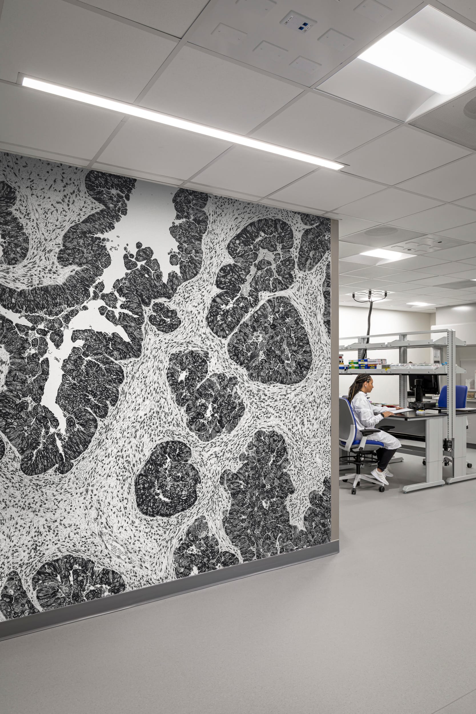 Detail view of the BSA-designed histology facility showcasing a striking wall-sized histological tissue image in dramatic black and white, which beautifully connects the workspace to its scientific purpose. In the background, a laboratory technician in a white coat works at an ergonomic workstation equipped with specialized equipment and adjustable fixtures. The facility's clean environment features bright overhead lighting, white suspended ceiling tiles, and smooth white flooring suitable for laboratory settings, creating a visual contrast with the intricate cellular patterns of the feature wall while reinforcing the facility's commitment to both precision science and thoughtful design.