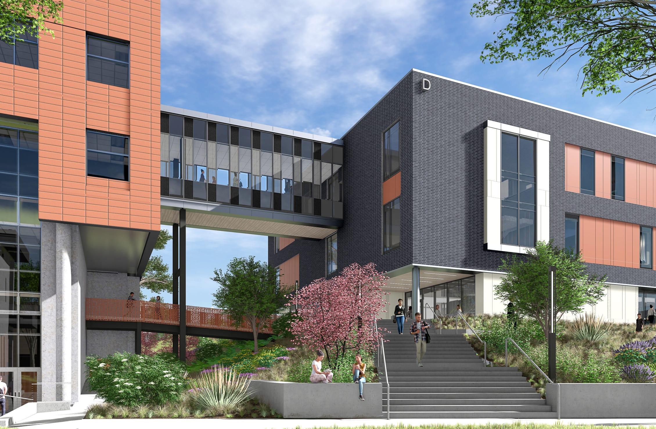 This rendering showcases an elevated pedestrian connection between two buildings of the Wake Tech Health Sciences complex. A glass-enclosed skybridge with alternating dark panels spans between a terracotta-clad building on the left and the dark gray brick building previously shown. Below the skybridge is a landscaped courtyard featuring a flowering cherry tree, native grasses, and tiered gardens with purple blooms. Wide concrete stairs with metal handrails lead up to the building entrance, where students can be seen entering and exiting. The architecture maintains the same modern aesthetic with its combination of gray brick, terracotta panels, and white structural elements. The design creates a cohesive campus feel while providing accessible outdoor gathering spaces integrated with sustainable landscaping beneath the blue sky.